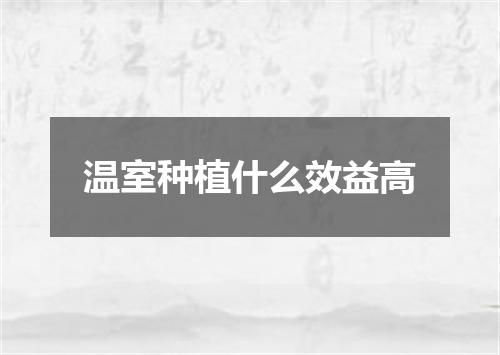 温室种植什么效益高