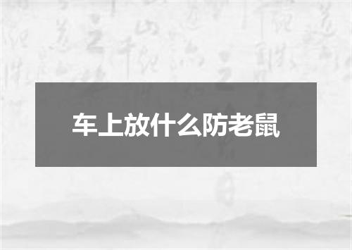 车上放什么防老鼠