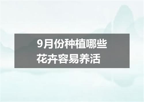 9月份种植哪些花卉容易养活