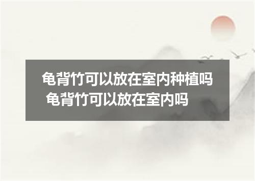 龟背竹可以放在室内种植吗 龟背竹可以放在室内吗