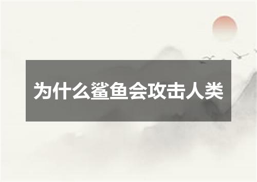 为什么鲨鱼会攻击人类