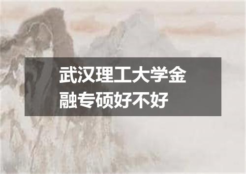 武汉理工大学金融专硕好不好