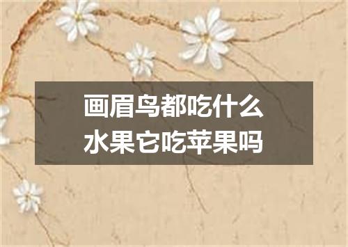 画眉鸟都吃什么水果它吃苹果吗