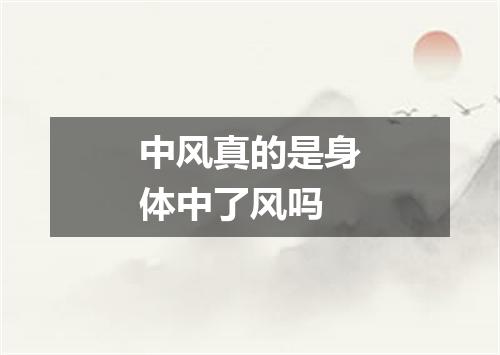 中风真的是身体中了风吗