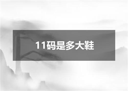 11码是多大鞋