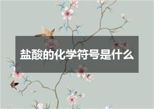 盐酸的化学符号是什么
