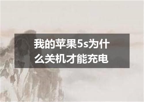 我的苹果5s为什么关机才能充电