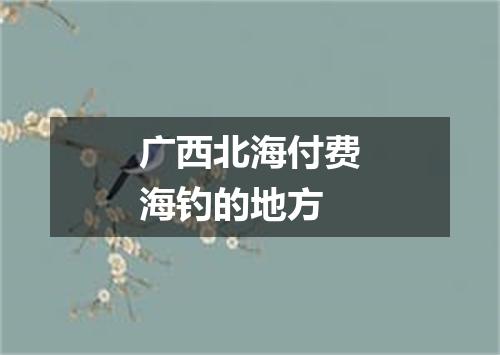 广西北海付费海钓的地方