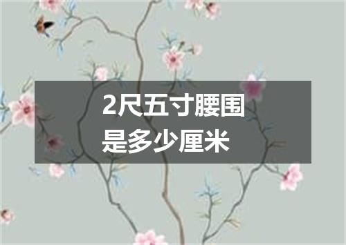 2尺五寸腰围是多少厘米