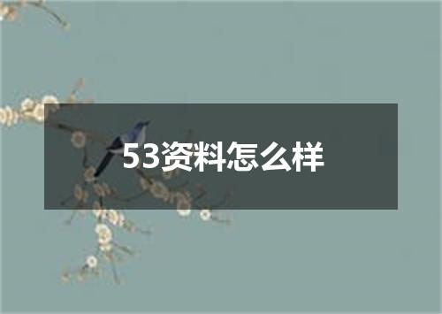 53资料怎么样