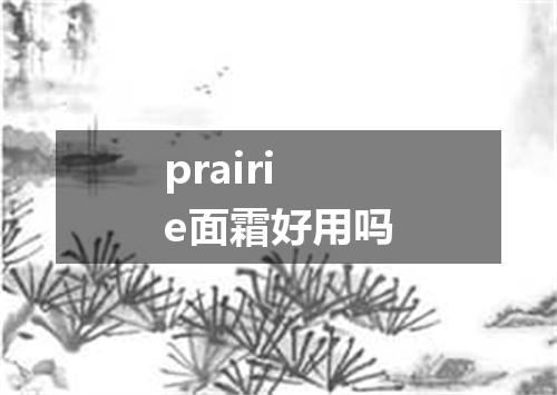 prairie面霜好用吗
