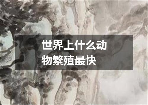 世界上什么动物繁殖最快