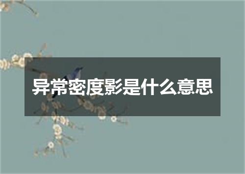 异常密度影是什么意思