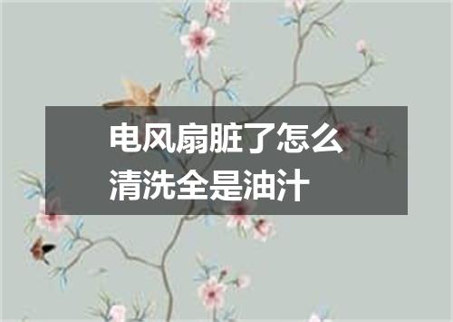 电风扇脏了怎么清洗全是油汁
