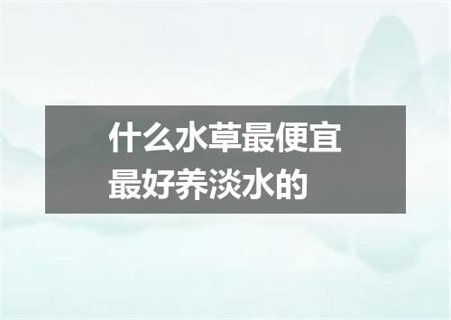 什么水草最便宜最好养淡水的
