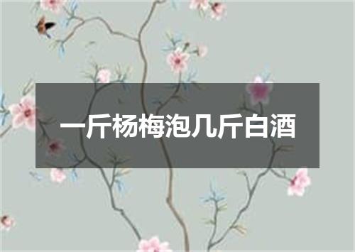 一斤杨梅泡几斤白酒