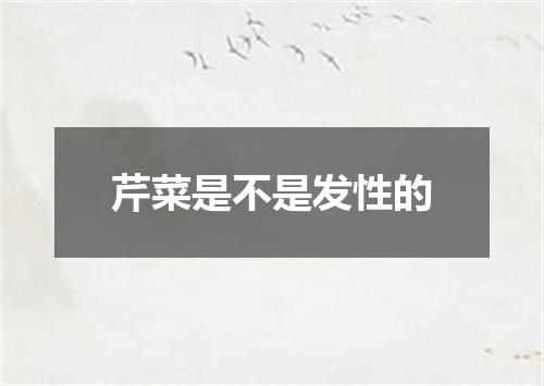 芹菜是不是发性的