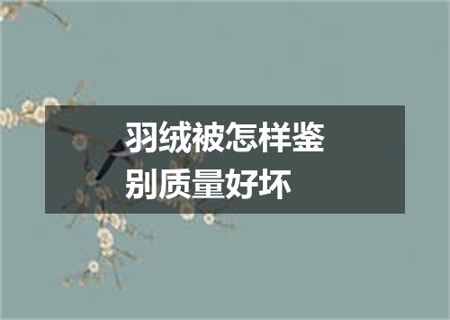 羽绒被怎样鉴别质量好坏