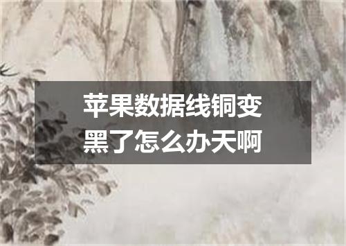 苹果数据线铜变黑了怎么办天啊