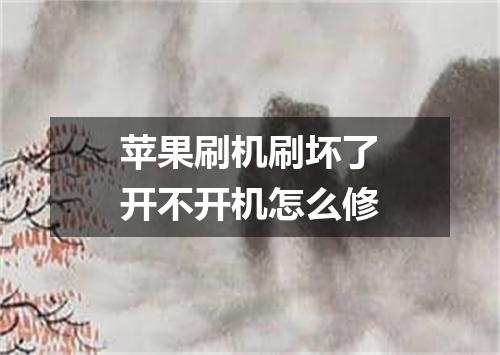 苹果刷机刷坏了开不开机怎么修