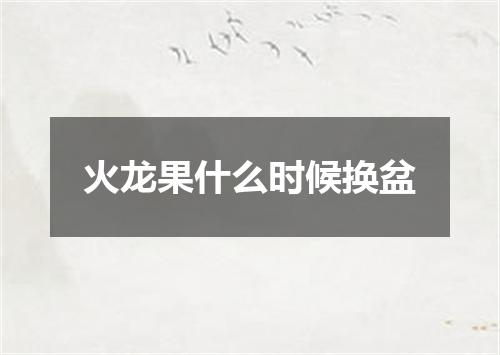 火龙果什么时候换盆