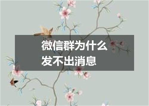 微信群为什么发不出消息