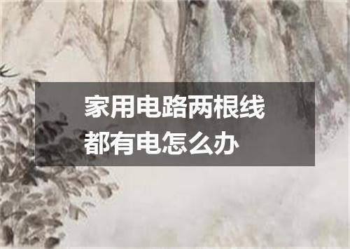 家用电路两根线都有电怎么办