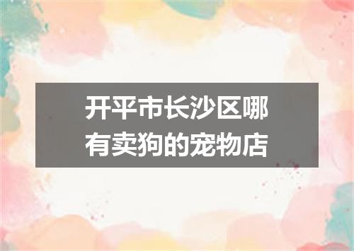 开平市长沙区哪有卖狗的宠物店