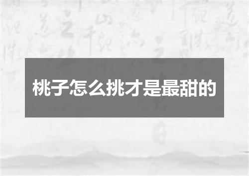 桃子怎么挑才是最甜的