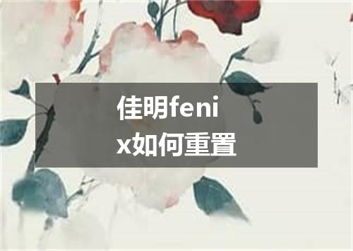 佳明fenix如何重置