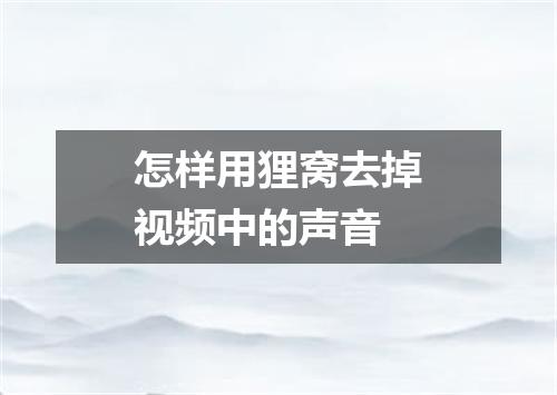 怎样用狸窝去掉视频中的声音