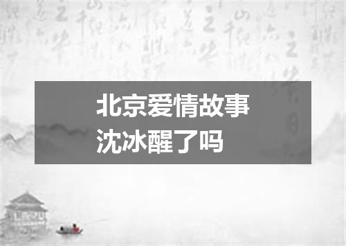 北京爱情故事沈冰醒了吗