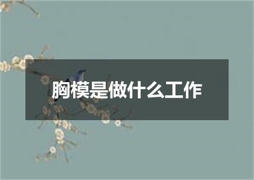 胸模是做什么工作
