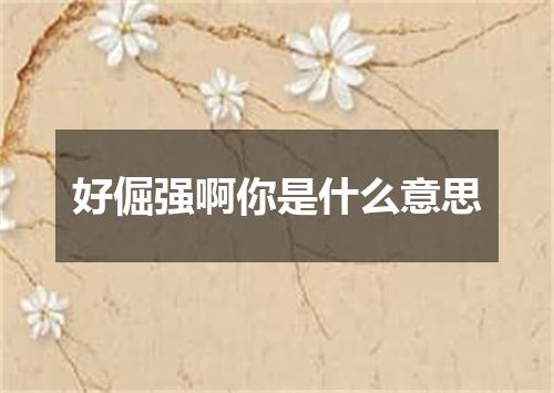 好倔强啊你是什么意思