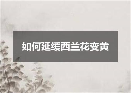 如何延缓西兰花变黄