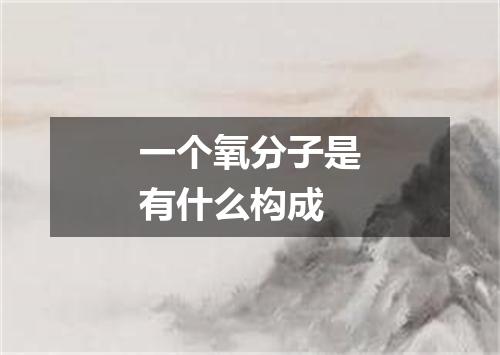 一个氧分子是有什么构成