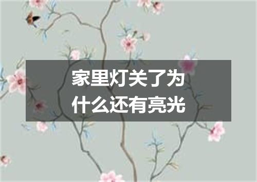 家里灯关了为什么还有亮光