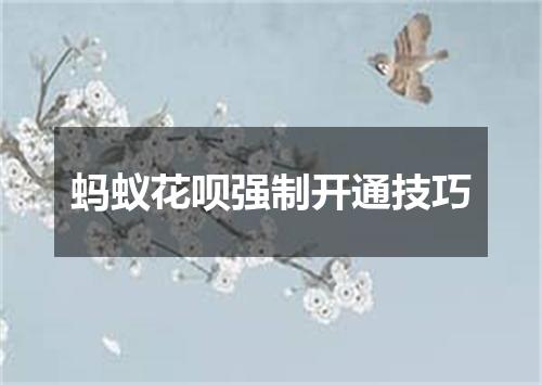 蚂蚁花呗强制开通技巧