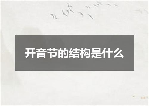 开音节的结构是什么