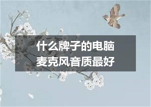 什么牌子的电脑麦克风音质最好