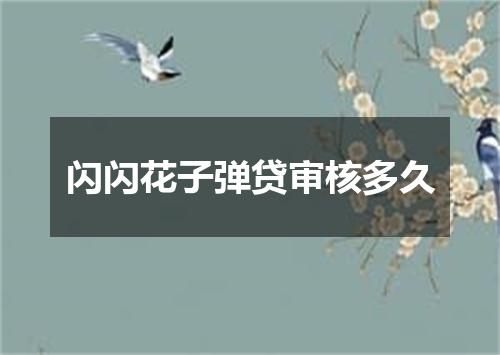闪闪花子弹贷审核多久