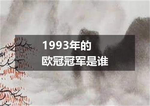 1993年的欧冠冠军是谁