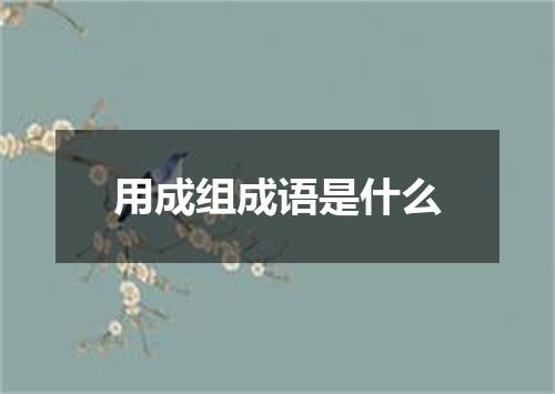 用成组成语是什么
