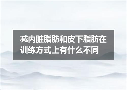 减内脏脂肪和皮下脂肪在训练方式上有什么不同