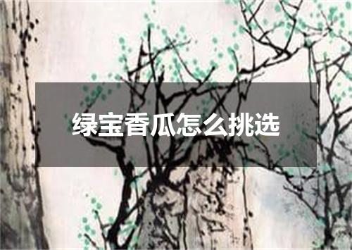 绿宝香瓜怎么挑选