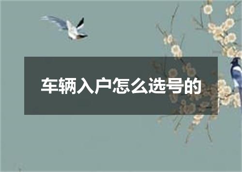 车辆入户怎么选号的