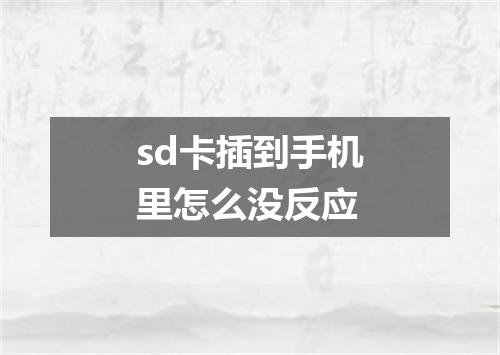 sd卡插到手机里怎么没反应