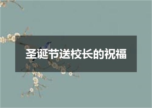 圣诞节送校长的祝福