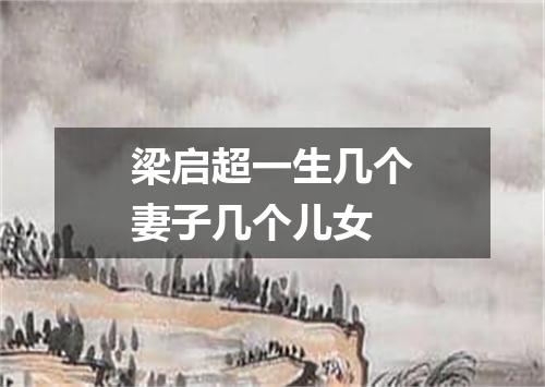 梁启超一生几个妻子几个儿女