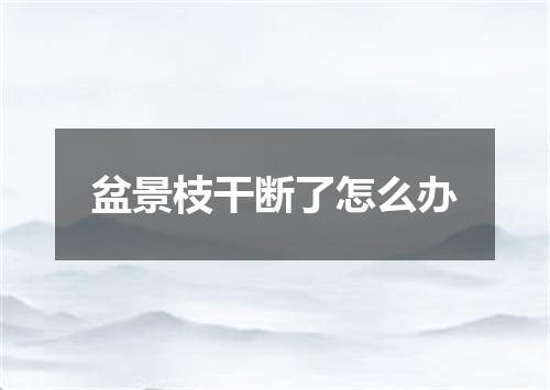 盆景枝干断了怎么办